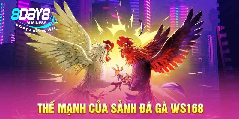 Nhà cái cung cấp sản phẩm chất lượng hàng đầu cho 8DAY là Ws168